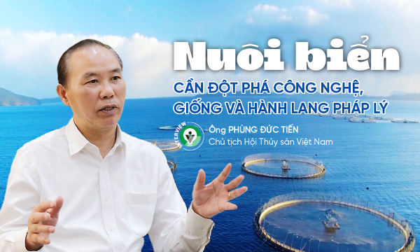 Nuôi biển cần đột phá công nghệ, giống và hành lang pháp lý