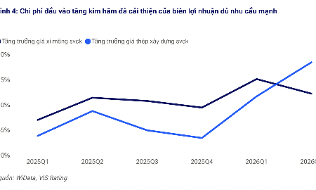 Giá vật liệu xi măng và thép tăng, lợi nhuận doanh nghiệp xây dựng có ảnh hưởng?