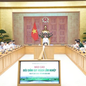 Phó Thủ tướng Hồ Quốc Dũng chủ trì cuộc họp. Ảnh: chinhphu.vn/Gia Huy.