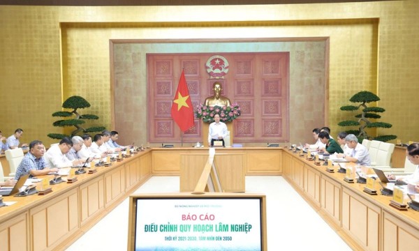 Điều chỉnh Quy hoạch lâm nghiệp: Bảo đảm đồng bộ dữ liệu, gắn giữ rừng với sinh kế người dân