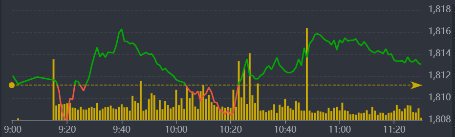 Diễn biến VN-Index sáng nay.