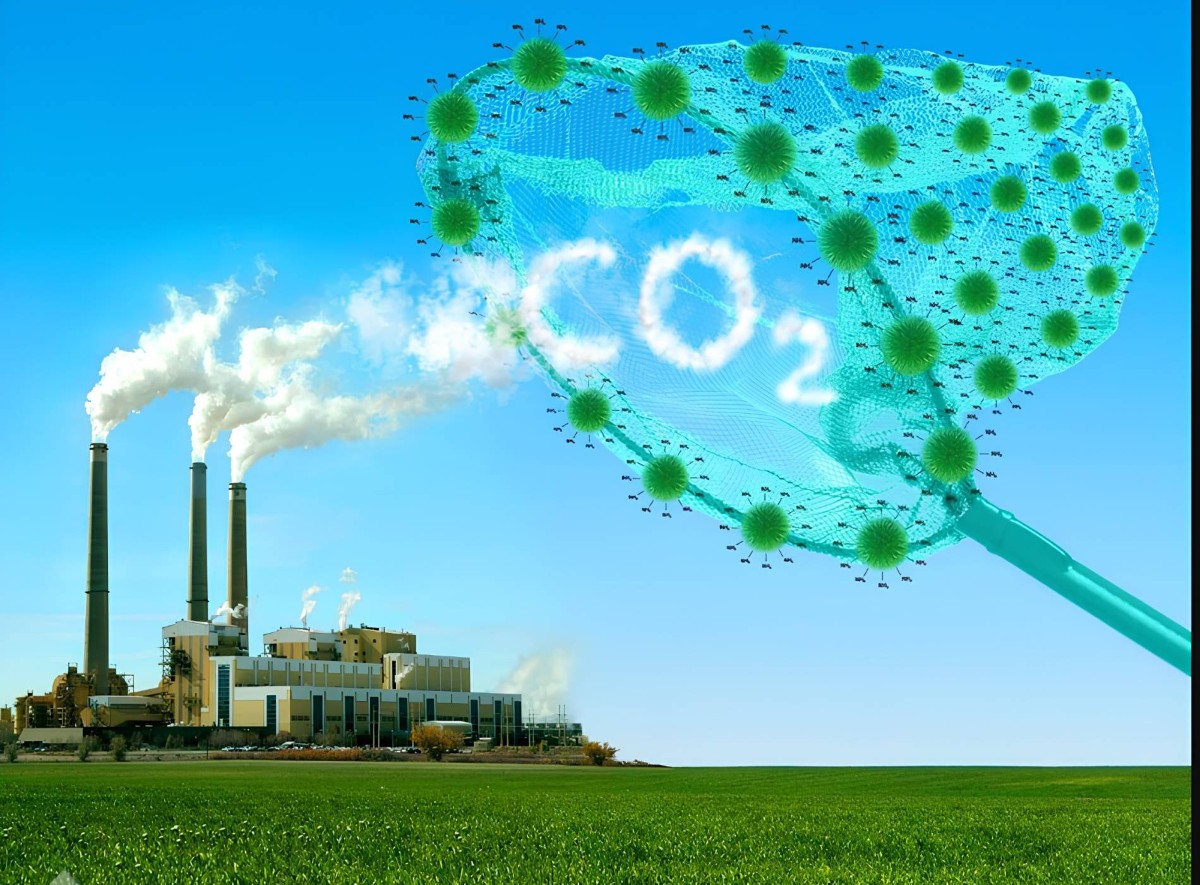 Hà Nội thúc đẩy việc kiểm kê khí nhà kính, giảm phát thải khí nhà kính và tham gia thị trường carbon. Ảnh minh họa. Ảnh: tapchimoitruong