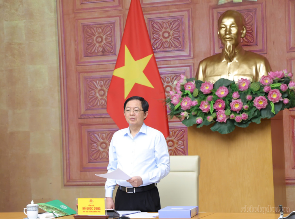 Phó Thủ tướng Hồ Quốc Dũng phát biểu kết luận cuộc họp. Ảnh: chinhphu.vn/Gia Huy.