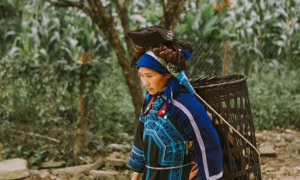 Ảnh: Y Tý - Sức hút đại ngàn