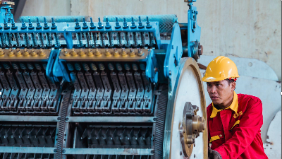 PSL Machinery setting the global benchmark for quality and reliability in cashew processing