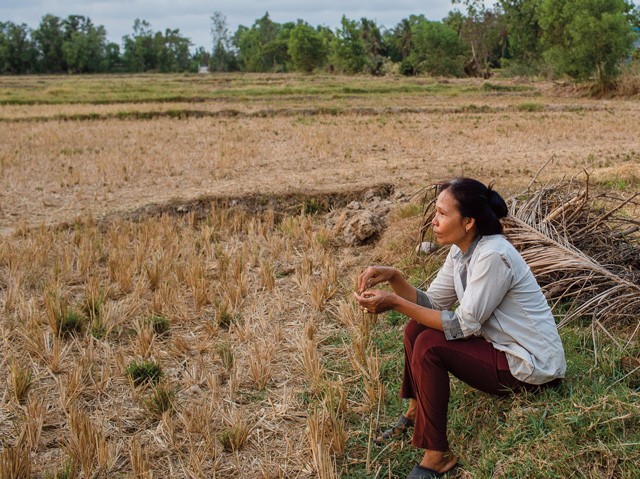 Cutting the cost of adoption of climate-resilient technologies