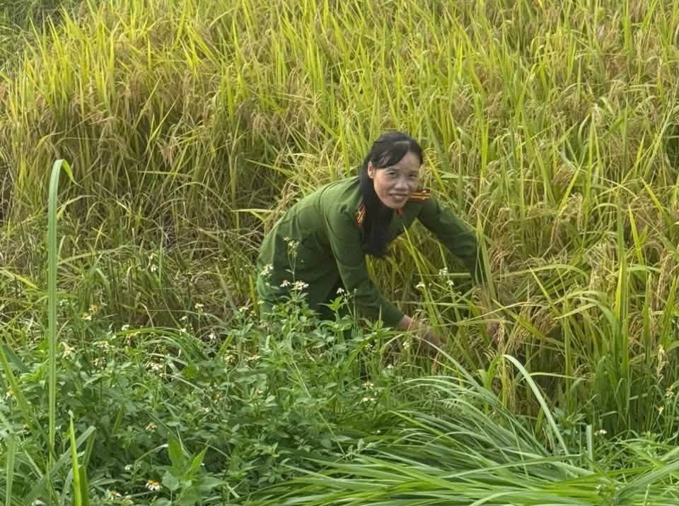 Sự có mặt kịp thời của lực lượng Công an giúp người dân giảm bớt thiệt hại về mùa màng. Ảnh: Nguyễn Thuấn