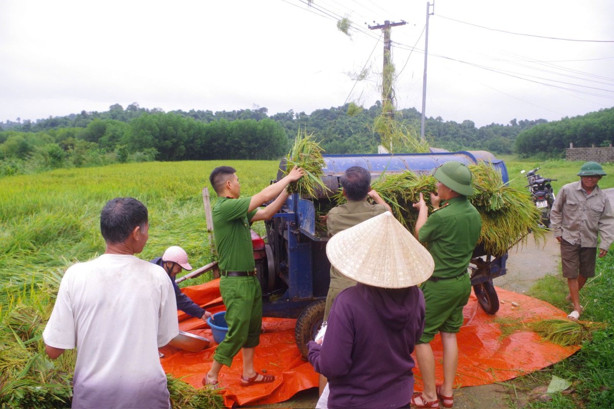 Công an xã Hóa Quỳ tích cực hỗ trợ người dân thu hoạch lúa. Ảnh: Công an tỉnh Thanh Hóa