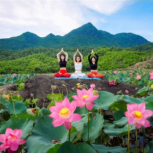 Ảnh minh họa: VietnamSpot
