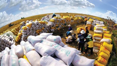 Agricultural exports' role in balancing the country's trade account