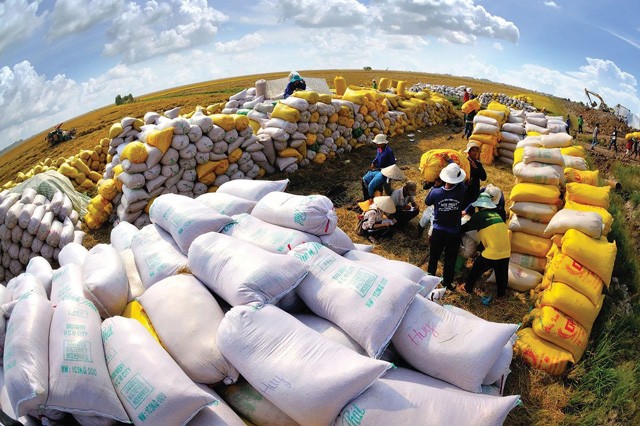 Agricultural exports' role in balancing the country's trade account