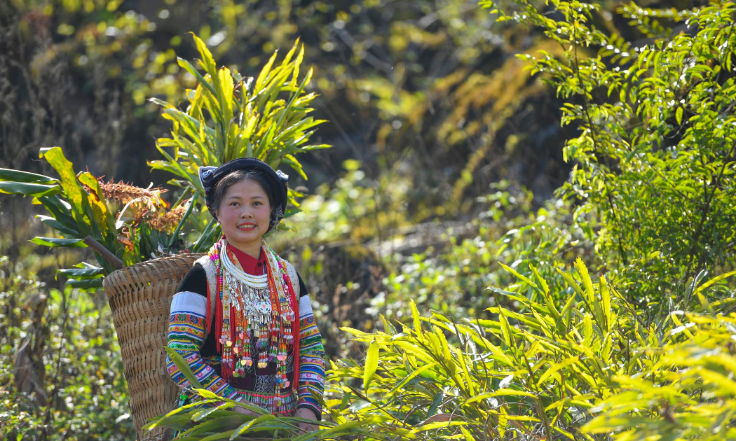 Ảnh minh họa: ExoTrails