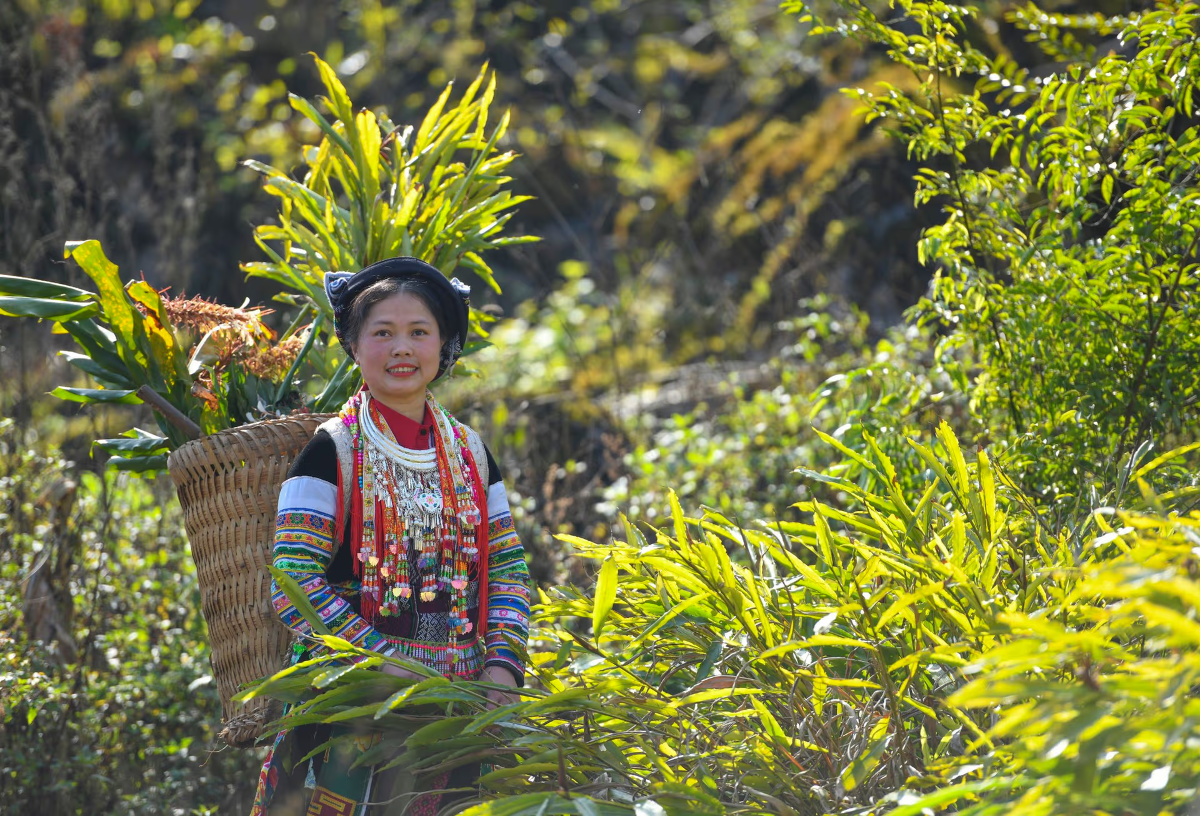 Ảnh minh họa: ExoTrails