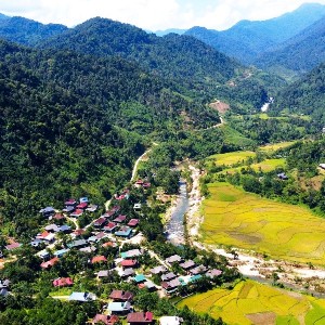 Miền Tây Nghệ An có hệ sinh thái phong phú, đa dạng. Ảnh: CSCC