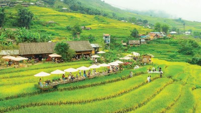Broader economic footprint