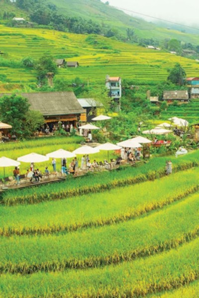 Broader economic footprint