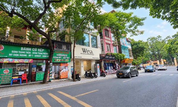 Từng không gian đô thị cần bố trí cây xanh phù hợp
