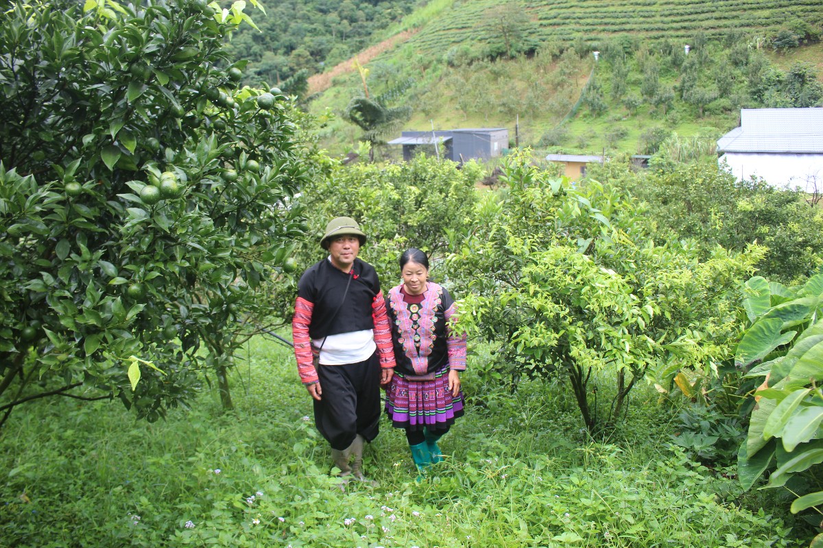 Vợ chồng ông Tráng A Cao trong vườn nông nghiệp sinh thái. Ảnh: Chu Khôi.