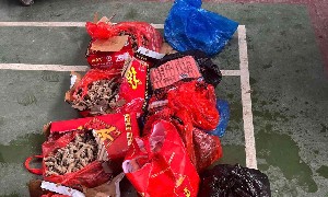 Lô hàng lạp xưởng, xúc xích, thịt xiên đông lạnh không rõ nguồn gốc. Ảnh: Cục Hải quan