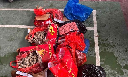 Lô hàng lạp xưởng, xúc xích, thịt xiên đông lạnh không rõ nguồn gốc. Ảnh: Cục Hải quan