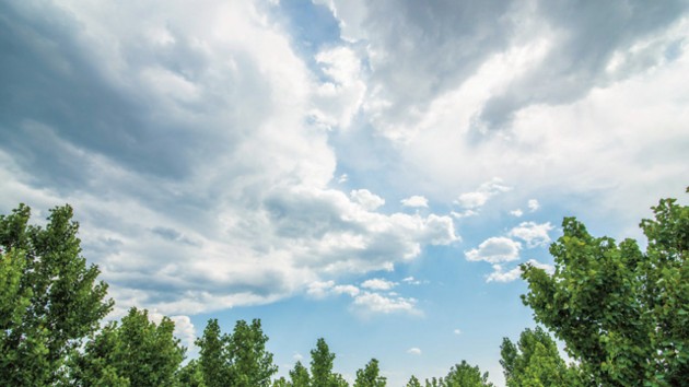 Road to ozone layer recovery