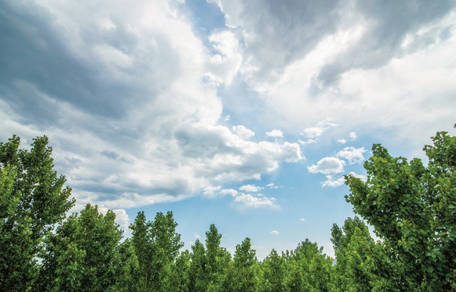 Road to ozone layer recovery