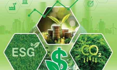 Tiêu chí xác định các dự án xanh