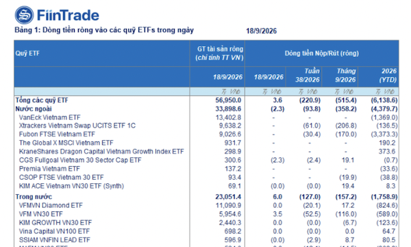 Đến lượt các ETF nội mạnh tay rút ròng