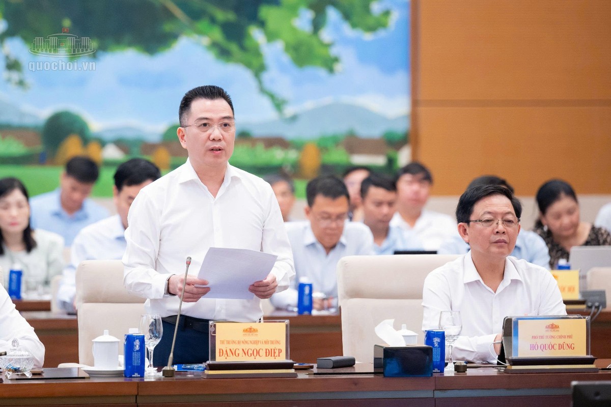 Thứ trưởng Bộ Nông nghiệp và Môi trường Đặng Ngọc Điệp trình bày Tờ trình về dự án Luật Tài nguyên, môi trường biển và hải đảo (sửa đổi). Ảnh: Cổng thông tin điện tử Quốc hội.