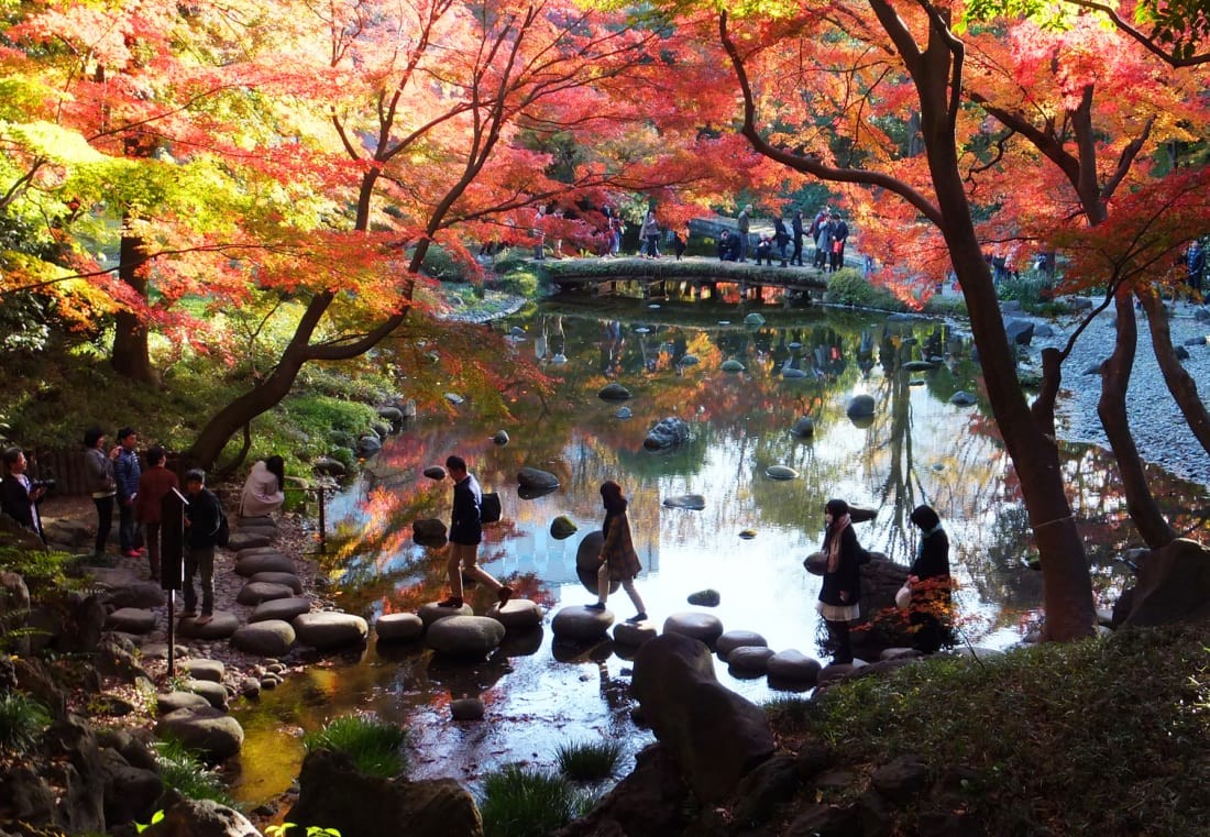 Giá tour đi Nhật Bản mùa thu này tăng cao do biến động giá vé máy bay. Ảnh: Tokyo Weekender