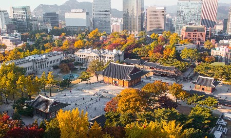 Khuôn viên các cung điện tại Seoul sắp được bao phủ bởi sắc lá mùa thu. Ảnh: Middle Class
