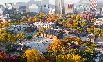 Tour ngắm lá đỏ 2026: Trung Quốc và Hàn Quốc được ưa chuộng