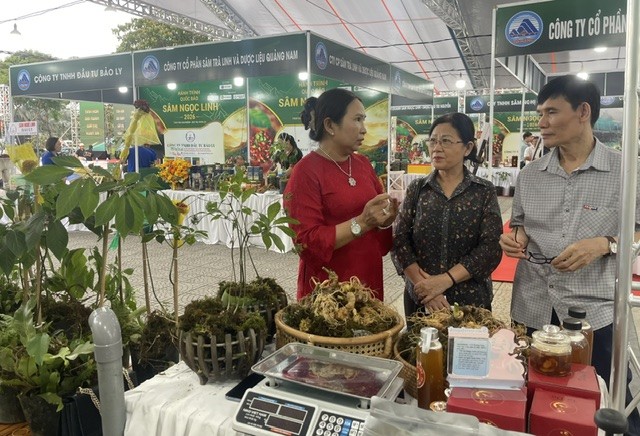 Giới thiệu cách dùng Sâm Ngọc Linh cho khách hàng. Ảnh Ngô Anh Văn