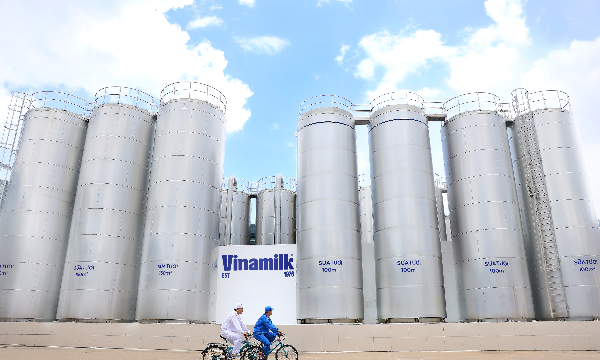 50 năm Vinamilk: Hành trình không ngừng nâng chuẩn