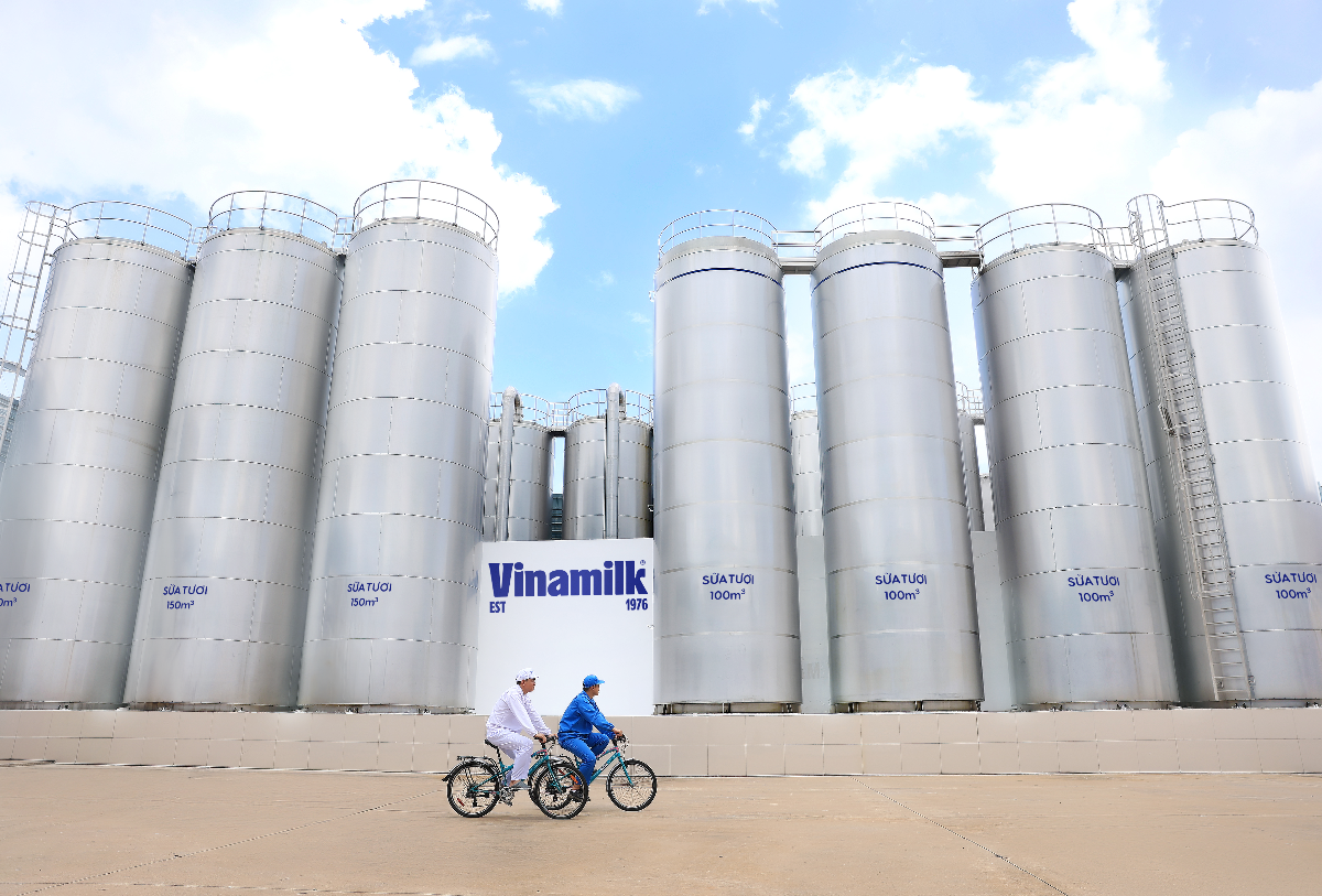 Chuẩn chất lượng được Vinamilk mở rộng trên toàn chuỗi, từ nguyên liệu, trang trại đến sản xuất và thành phẩm. Ảnh: Vi Nam.
