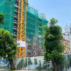 Ảnh minh họa: Hoàng Bách