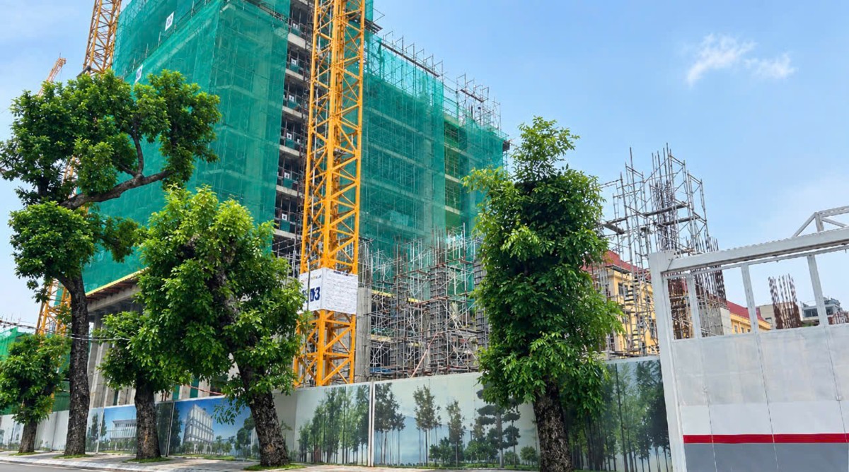 Ảnh minh họa: Hoàng Bách