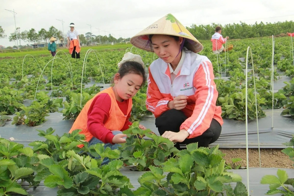Học sinh tham quan, tìm hiểu quy trình chăm sóc và thu hoạch nông sản tại trang trại. Ảnh: Nguyễn Thuấn.