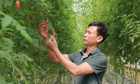 Bỏ lối canh tác cũ, hơn 3 ha đất cho doanh thu hàng tỷ đồng mỗi năm