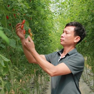 Anh Lê Ngọc Nam chia sẻ về quá trình chuyển đổi từ sản xuất truyền thống sang trồng rau, quả trong nhà màng, nhà lưới. Ảnh: Nguyễn Thuấn.