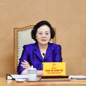 Phó Thủ tướng Phạm Thị Thanh Trà cho ý kiến về Đề án cải cách chính sách tiền lương và bảo hiểm xã hội. Ảnh: Thu Giang/VGP.
