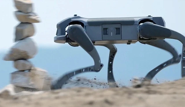 Ảnh: AMC Robotics.