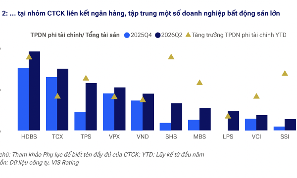 Nhu cầu vay margin cá nhân thấp, rủi ro khi công ty chứng khoán tập trung tín dụng ở vài khách hàng lớn