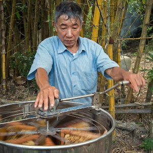 Thu hoạch mật ong tại Việt Nam. Ảnh: FAO.
