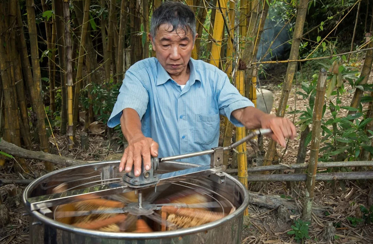 Thu hoạch mật ong tại Việt Nam. Ảnh: FAO.