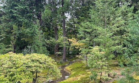 Chậm lại giữa những thanh âm cổ kính ở phía tây nam Kyoto