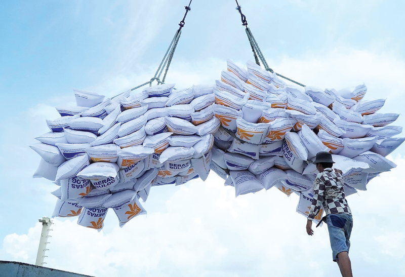 New decree regulates rice export and import business