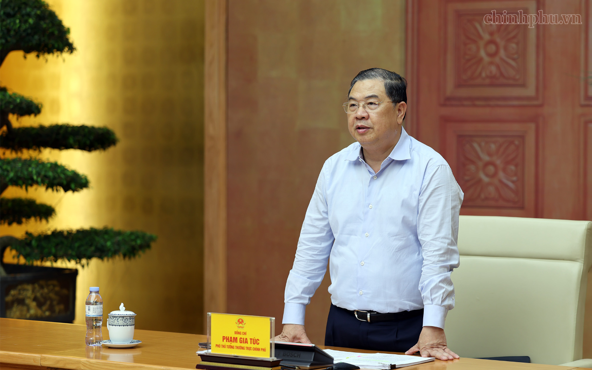 Phó Thủ tướng Thường trực Phạm Gia Túc phát biểu tại cuộc làm việc với các hiệp hội, doanh nghiệp tiêu biểu ngành hàng nông, lâm, thủy sản. Ảnh: chinhphu.vn/Phương Nguyên.