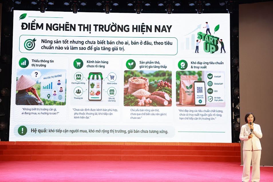 Bà Nguyễn Thị Thu - Chuyên gia phát triển hệ sinh thái, Trung tâm Hỗ trợ Khởi nghiệp Sáng tạo Quốc gia, người sáng lập hệ sinh thái MEVI chia sẻ định hướng xây dựng “Trạm Xanh Hà Tĩnh”. Ảnh: Hội Liên hiệp Phụ nữ Hà Tĩnh