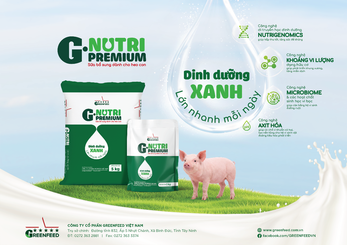Sữa bổ sung cho heo con G.Nutri Premium được phát triển với tổ hợp công thức dinh dưỡng chuyên biệt.